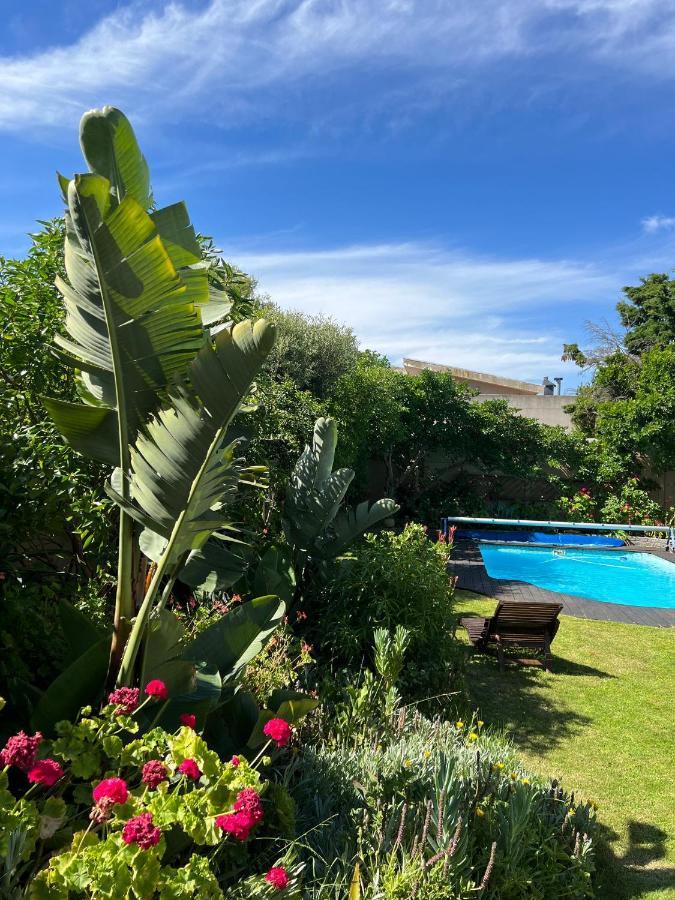 Sunset Beach Living Guesthouse Cape Town Ngoại thất bức ảnh
