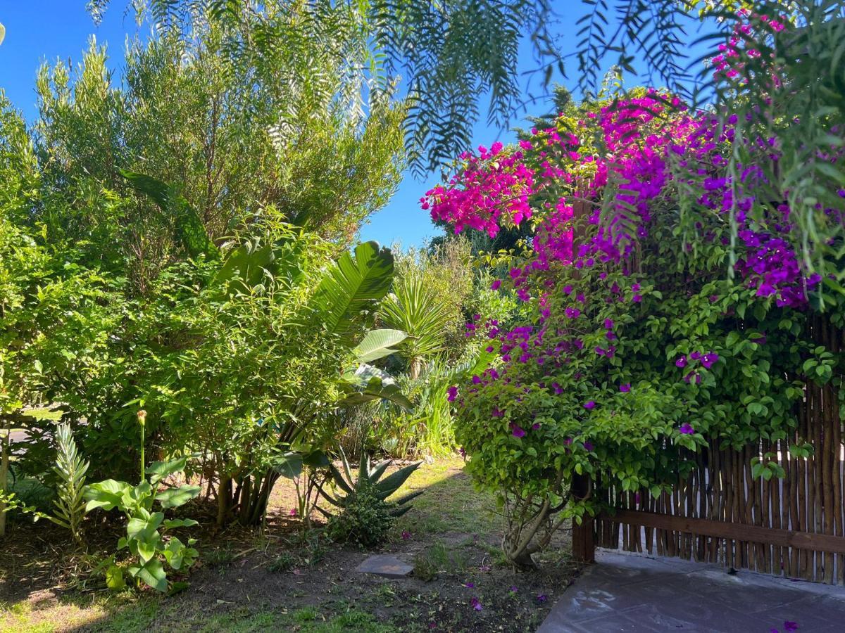 Sunset Beach Living Guesthouse Cape Town Ngoại thất bức ảnh